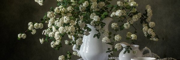 Serweta, Tawuła, Gałązki, Białe, Kwiaty, Filiżanka, Dzbanek