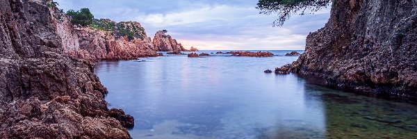 Costa Brava, Skały, Drzewa, Hiszpania, Wybrzeże, Morze Śródziemne