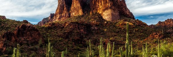 Góry, Pustynia, Arizona, Tree Sisters, Kaktusy saguaro, Rośliny, Sonoran Desert, Skały, Szczyty, Chmury, Superstition Mountains, Stany Zjednoczone