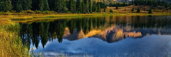 Jezioro, Stany Zjednoczone, Las, San Juan Mountains, Chmury, Molas Lake, Odbicie, Trawa, Góry, Kolorado, Drzewa
