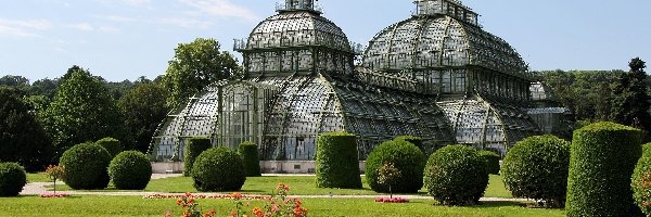 Kwiaty, Schonbrunn, Palmiarnia, Wiedeń, Austria, Park, Ogród
