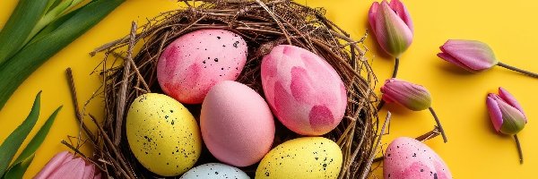 Tło, Gniazdo, Różowe, Pisanki, Kolorowe, Żółte, Tulipany