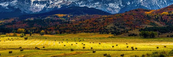 Góry, Jesień, Mount Sneffels, Kolorado, Stany Zjednoczone, Chmury, Pola, San Juan Mountains, Drzewa