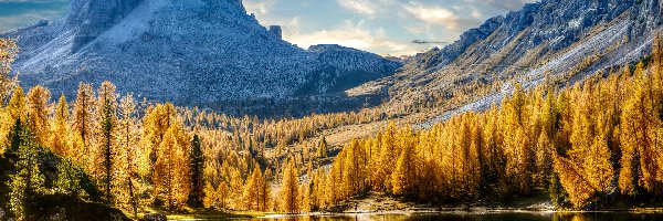 Pożółkłe, Lago Federa, Dolomity, Góry, Jesień, Włochy, Cortina dAmpezzo, Jezioro, Drzewa