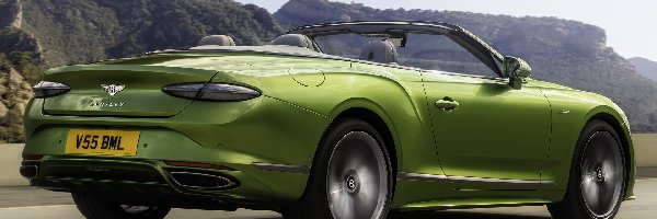 Zielony, GT, Bentley Continental, Kabriolet, Speed