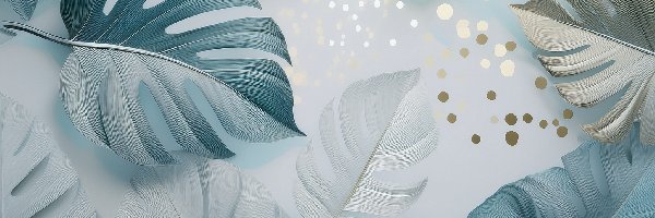 Monstera, Zielone, Białe, Grafika, Liście