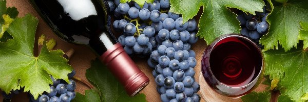 Butelka, Kieliszek, Wino, Grafika, Liście, Winogrona