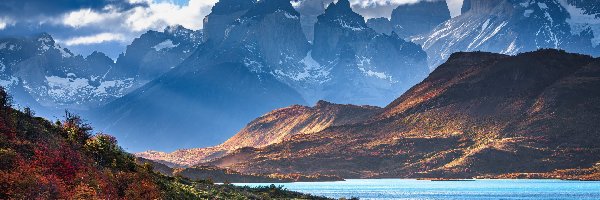 Roślinność, Chmury, Jezioro, Torres del Paine, Góry, Ameryka Południowa, Patagonia, Pehoe Lake, Chile