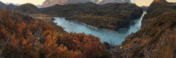 Drzewa, Park Narodowy Torres del Paine, Góry, Patagonia, Chile, Jesień, Rzeka