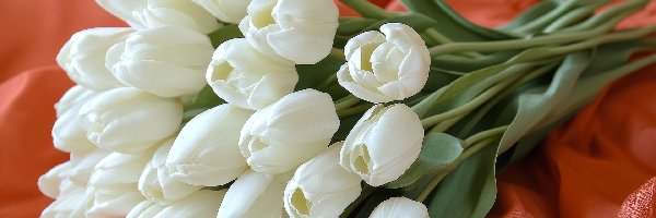 Białe, Materiał, Tulipany, Kwiaty