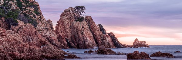 Costa Brava, Morze, Hiszpania, Katalonia, Wybrzeże, Skały, Drzewa, Wschód słońca