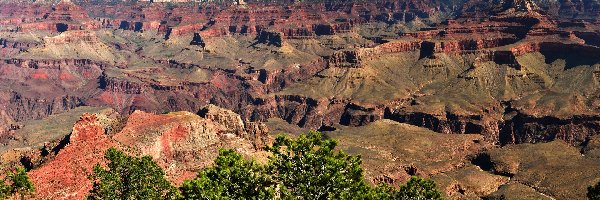 Grand Canyon National Park, Arizona, Drzewa, Skały, Park Narodowy Wielkiego Kanionu, Kanion, Góry, Stany Zjednoczone
