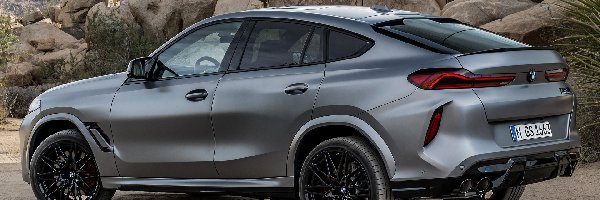 M, BMW X6