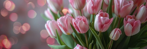 Kokarda, Tulipany, Różowe
