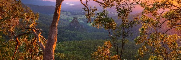 Dolina, Queensland, Wschód słońca, Gałęzie, Góry, Numinbah Valley, Drzewa, Australia