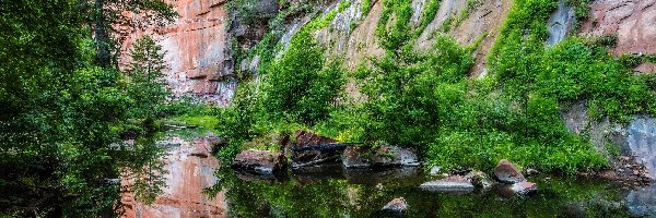 Oak Creek, Wąwóz, Sedona, Arizona, Stany Zjednoczone, Roślinność, Drzewa, Skały, Rzeka