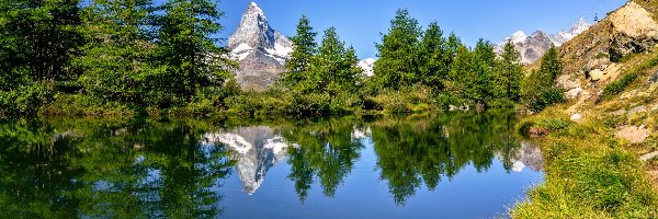 Szczyt, Góry, Drzewa, Riffelsee, Alpy, Matterhorn, Jezioro, Szwajcaria