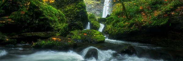 Omszałe, Columbia River, Elowah Falls, Wodospad, Las, Stany Zjednoczone, Oregon, Rzeka, Skały