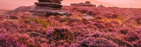 Skała, Hathersage, Park Narodowy Peak District, Hrabstwo Derbyshire, Anglia, Wzgórze, Wrzosowisko