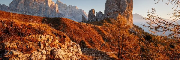 Drzewa, Dolomity, Skały, Góry, Włochy, Jesień, Cinque Torri