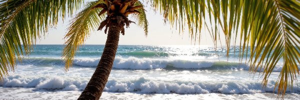 Palma, Morze, Plaża, Grafika AI, Fale