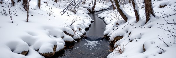 Las, Gałęzie, Drzewa, Rzeka, Ośnieżone, Zima