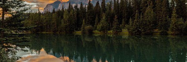 Drzewa, Park Narodowy Banff, Jezioro, Góra Mount Rundle, Góry, Kanada, Alberta, Two Jack Lake, Odbicie