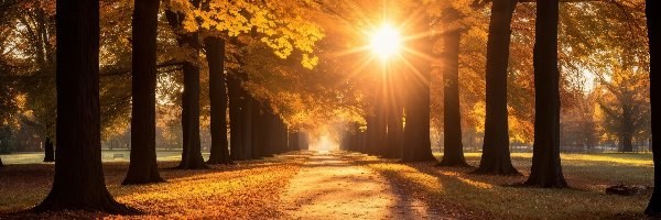 Jesień, Park, Drzewa, Aleja, Promienie słońca