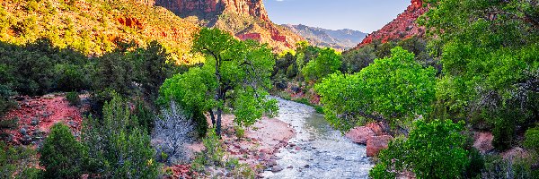 Rzeka, Góry, Stany Zjednoczone, Stan Utah, Góra Watchman, Virgin River, Drzewa, Park Narodowy Zion