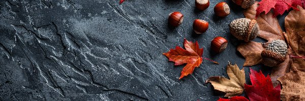 Tło, Liście, Klonu, Brązowe, Czerwone, Czarne, Żołędzie