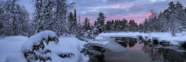Drzewa, Jezioro, Zima, Ośnieżone, Półwysep Kolski, Rosja