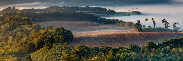 Poranek, Pola, Mgła, Z lotu ptaka, Drzewa, Wzgórza