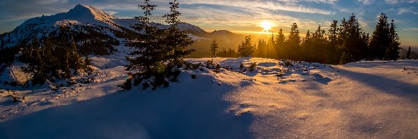 Zachód słońca, Drzewa, Zaspy, Góry, Zima, Niebo, Śnieg