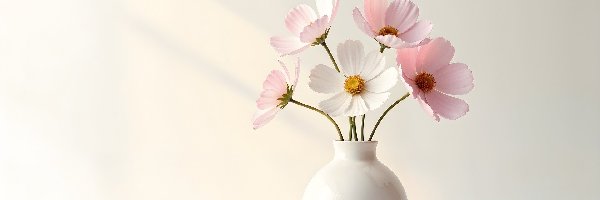 Wazon, Biały, Kwiaty