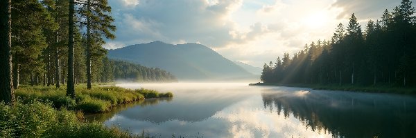 Jezioro, Drzewa, Las, Chmury, Rośliny