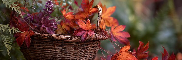 Kosz, Liście, Czerwone, Grafika AI, Jesienne