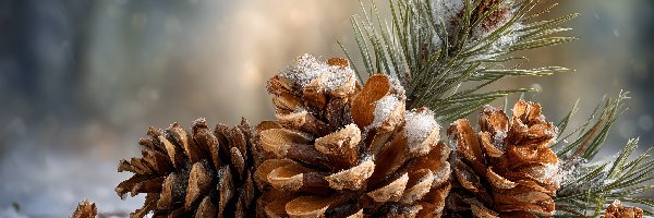 Ośnieżone, Gałązki, Szyszki, Grafika AI, Sosna