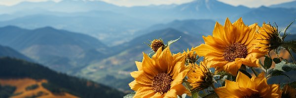 Kwiaty, Grafika AI, Góry, Słoneczniki ozdobne