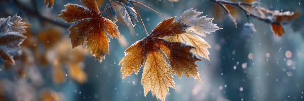 Liście, Grafika AI, Oszronione, Jesienne