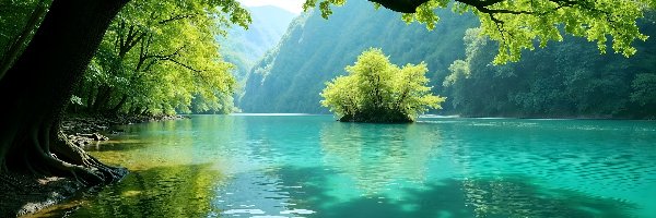 Góry, Zielone, Jezioro, Gałęzie, Drzewa