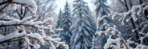 Las, Gałązki, Drzewa, Grafika AI, Ośnieżone, Zima