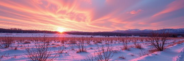 Ośnieżone, Kolorowe, Niebo, Pola, Zachód słońca, Zima