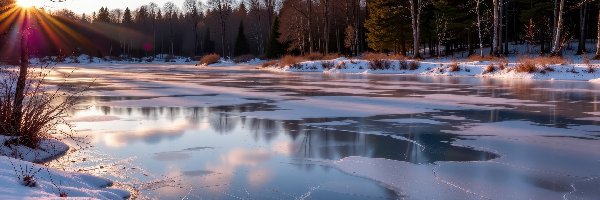 Promienie słońca, Jezioro, Śnieg, Drzewa, Zamarznięte, Zima