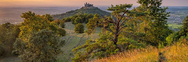 Trawa, Zamek Hohenzollern, Drzewa, Niemcy, Góra Hohenzollern, Góry