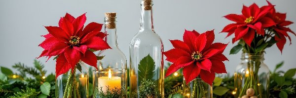 Słoiki, Gwiazda betlejemska, Kompozycja, Rośliny, Butelki, Świeca, Zielone, Kwiaty