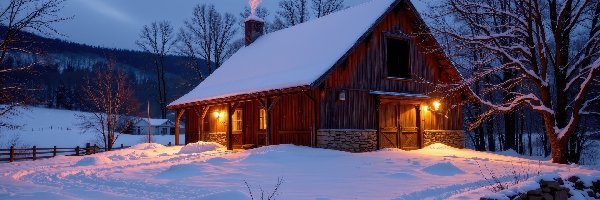 Oświetlenie, Śnieg, Ogrodzenie, Drzewa, Dom, Komin, Dym, Zima