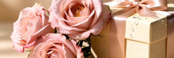 Krople, Róże, Prezent, Jasnoróżowe, Trzy, Kokarda, Wstążka
