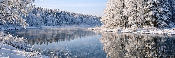 Zima, Oszronione, Rzeka, Odbicie, Drzewa