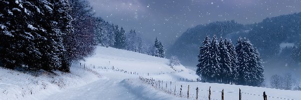 Śnieg, Drzewa, Ogrodzenie, Grafika AI, Droga, Zima