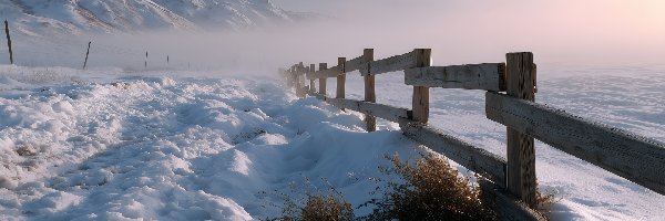 Rośliny, Góry, Mgła, Grafika AI, Ogrodzenie, Zima
